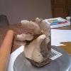 Modeling chocolate "flesh" cover for glove cut outs